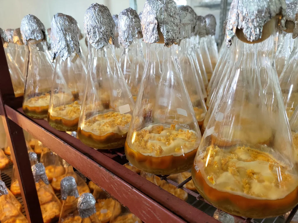 祥林生技 鋅硒北蟲草 60顆裝